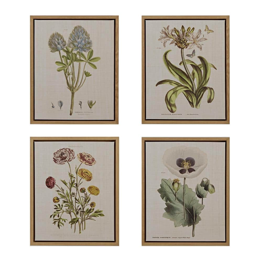 Herbal Botany 4-Piece Framed Canvas Wall Art Set with Botanical Illustrations