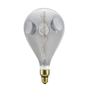40-Watt Equivalent A160 Vintage Edison Decorative LED Light Bulb Smoke (1-Bulb)