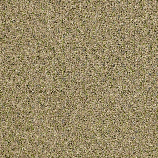 TrafficMaster 8 in. x 8 in. Berber Carpet Sample - Isla Vista - Color Chutney
