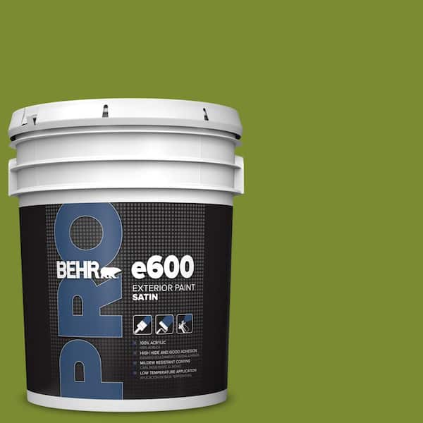 5 gal. #P360-7 Sassy Grass Satin Exterior Paint