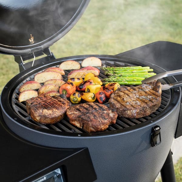 Char Griller Akorn Auto Kamado 20 inch Digital WiFi Charcoal Grill in Gray 6480