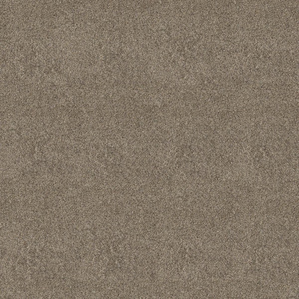 Home Decorators Collection Vacation Stonewall Brown 42 oz. SD High Performance Polyester Texture Installed Carpet