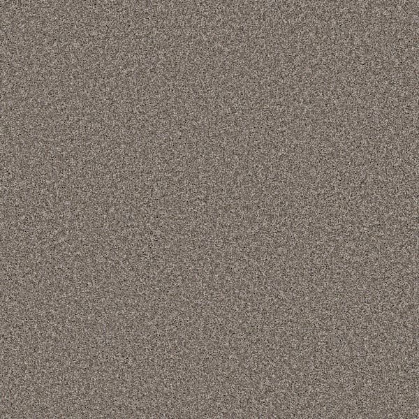 Home Decorators Collection Piece Of Cake Treehouse Brown 33 oz. Solution Dyed Polyester Texture Installed Carpet