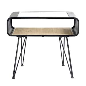 20.5 in. Rectangle Black Glass End Table