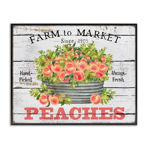 Stupell Industries Farm To Market Peaches by Creatif Belle Black Framed Food Giclee Art Print 11 in. x 14 in.