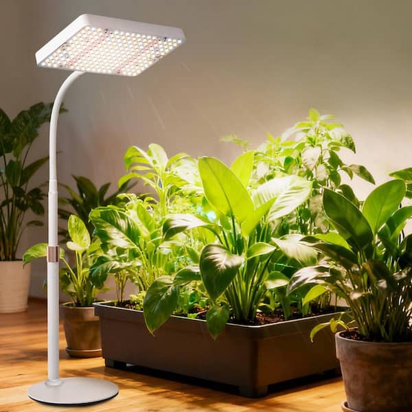 BeamBox 16-24 in. Height Adjustable LED Tabletop Grow Light Full