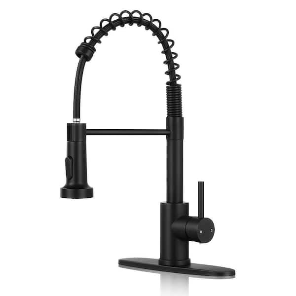 Single Handle 16 in. H Pull Down Sprayer Kitchen Faucet with Pull Out Spray Wand in Matte Black