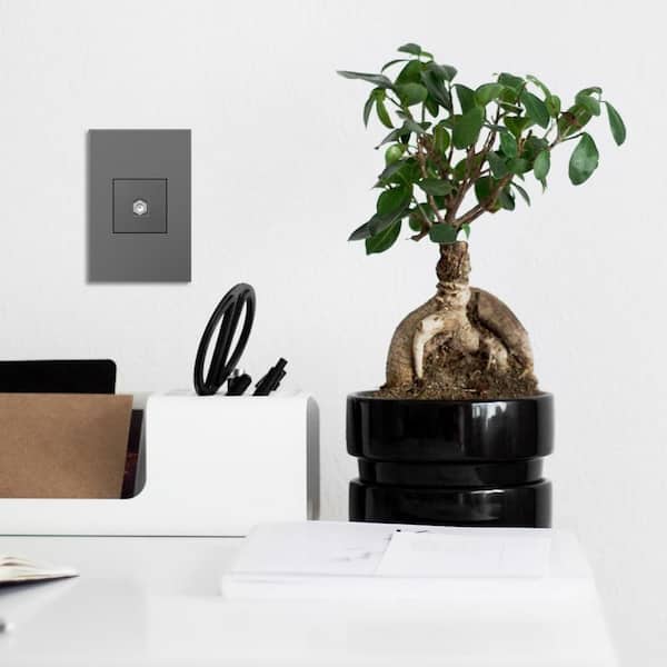 adorne Nickel Recessed F-Connector Keystone Insert, Magnesium (1-Pack)