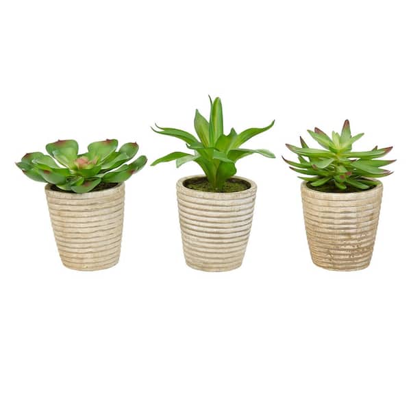 Pure Garden Artificial Assorted Faux Succulent Arrangements (Set of 3)