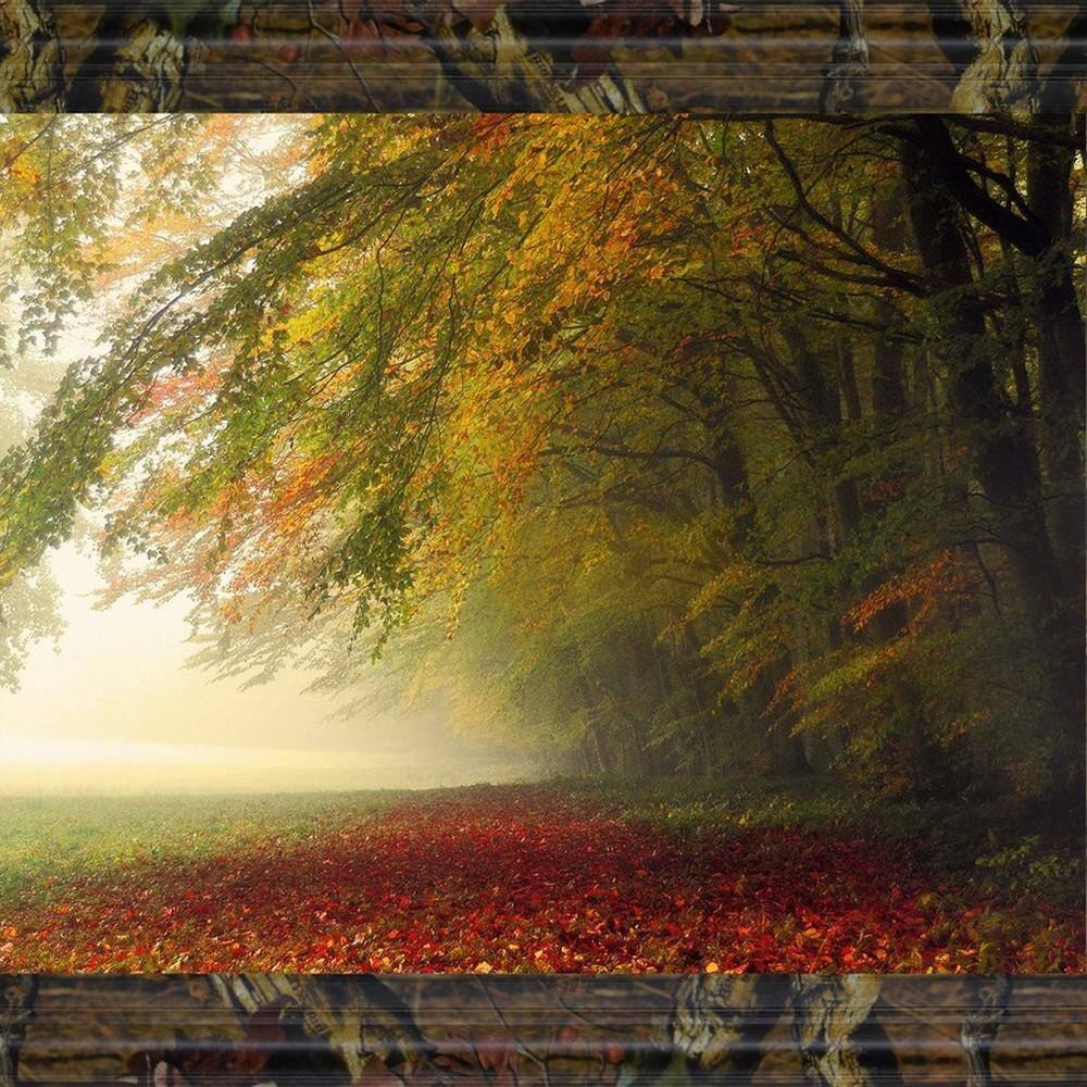 1 Piece Framed Graphic Print Nature Art Print 28 in. x 34 in. price history on PriceWatchPro