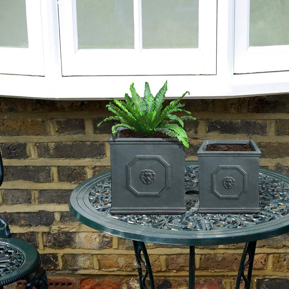 Antique Gray Concrete Lion Head Square Planter Set