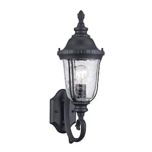 Chessie 1-Light Black Coach Outdoor Wall Light Fixture with Clear Crackled Glass