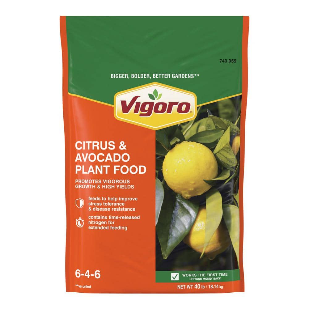 Vigoro 40 lb. All Season Citrus and Avocado Plant Food (6-4-6) 162125 - The  Home Depot