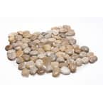 12 in. x 12 in. White Mid-Polish Pebble Stone Floor and Wall Tile (5.0 sq. ft. / case)