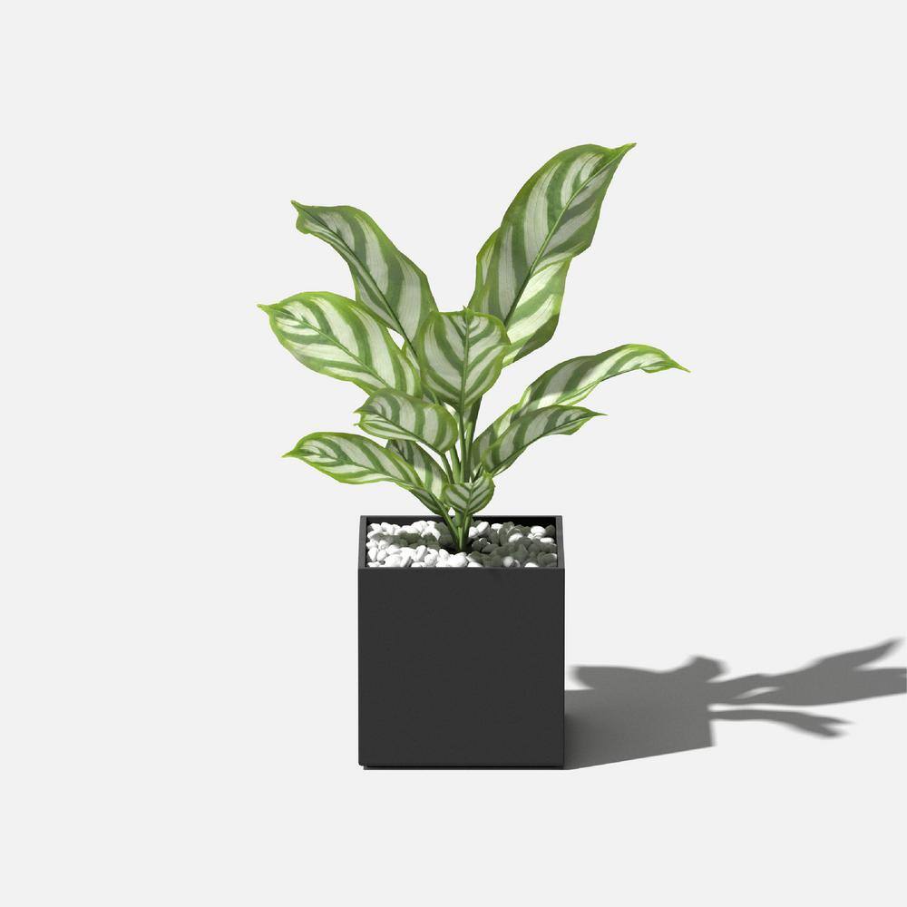 Compact Black Plastic-Stone Composite Cube Planter, 5 Inch