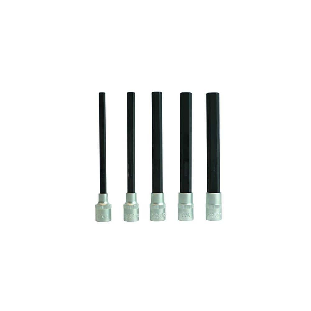Standard Hex End Sockets and Bits Tool Set with ProGuard with Case (5-Piece