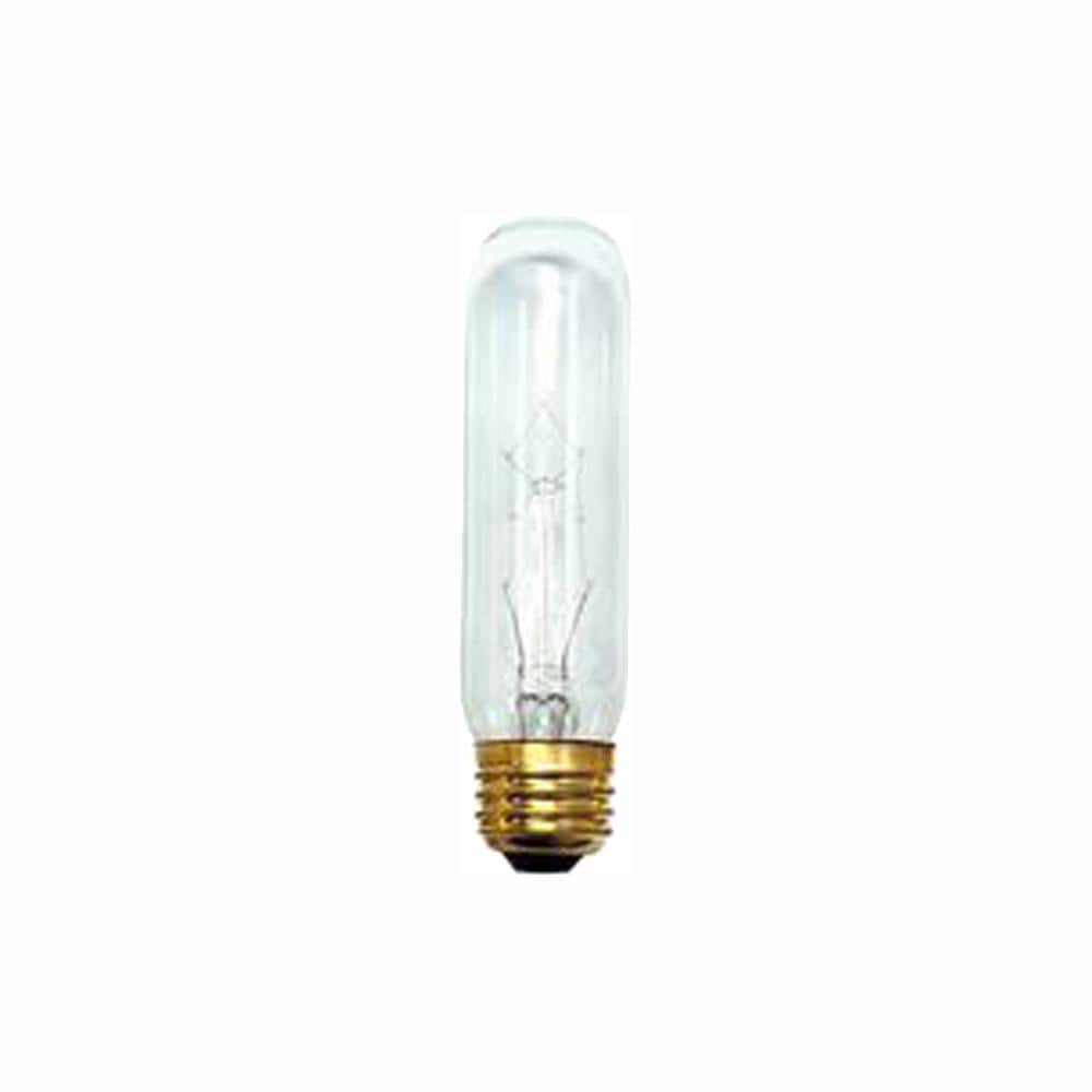 25-Watt 2700K Warm White Light T10 (E26) Medium Screw Base Dimmable Clear I
