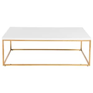 Amelia 23.63 in. White Rectangle MDF Coffee Table