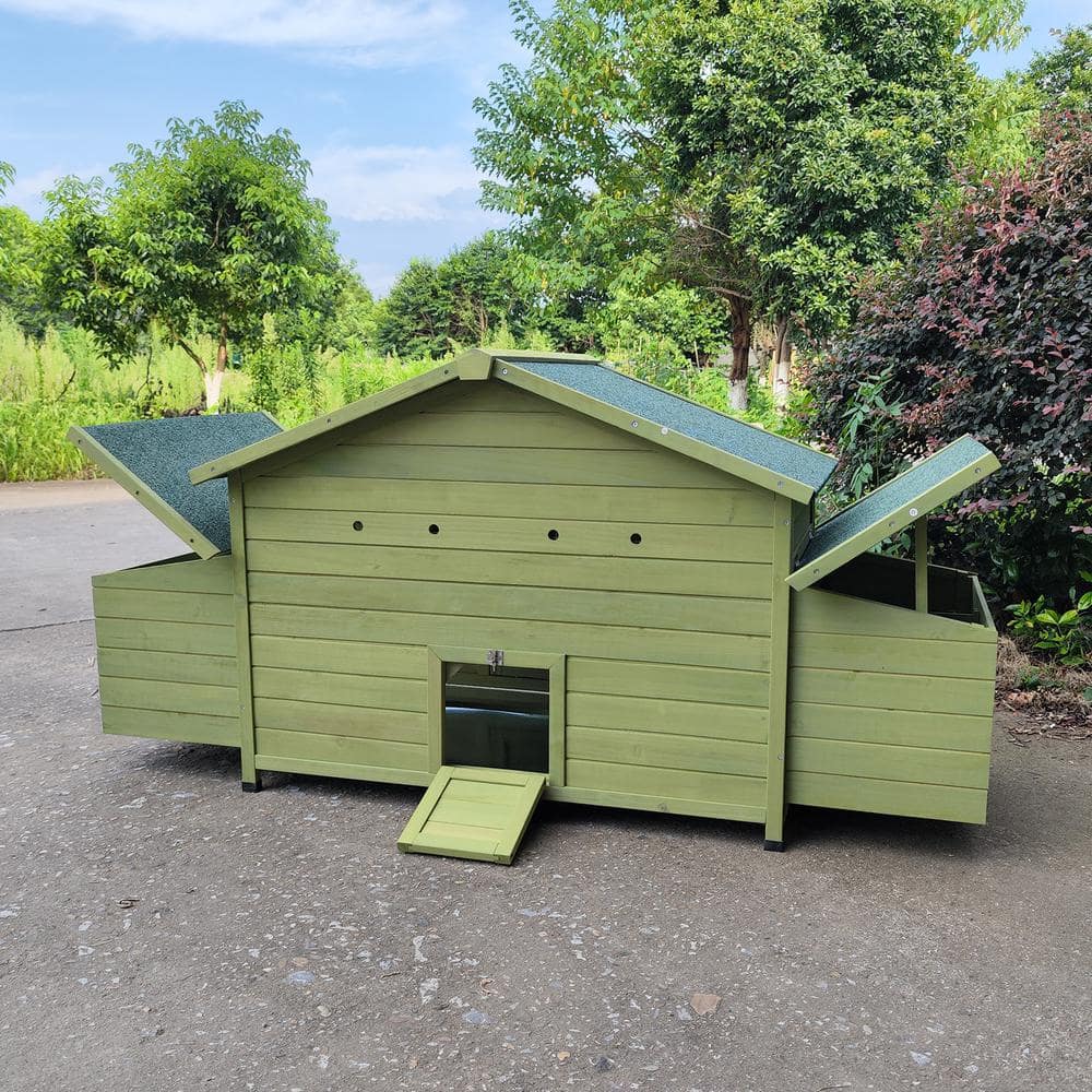 Green Wooden Chicken Coop with Nesting Boxes and Free-Range Doors