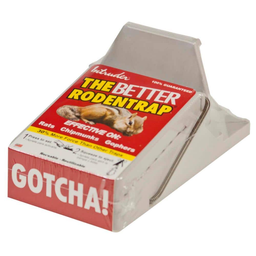  24 Pack Intruder 16000 Better Mouse Trap : Rodent Traps :  Patio, Lawn & Garden