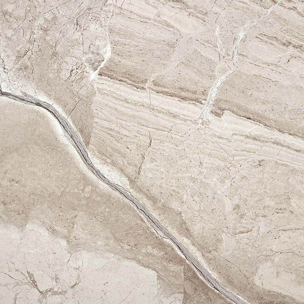 Splendor Beige 23.62 in. x 23.62 in. Matte Porcelain Square Wall and Floor Tile (21 Cases/244.02 sq. ft./Pallet) price history on PriceWatchPro