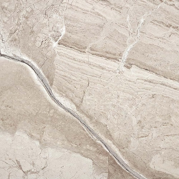 Apollo Tile Splendor Beige 4 in. x 5 in.Matte Porcelain Square Wall and Floor Sample Tile (0.14 sq. ft./case) (1-pack)
