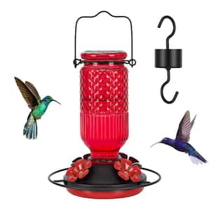 16 oz. Red Glass Hanging Hummingbird Feeder with 4 Bee Guard Feeding Ports and Built-In Ant Moat