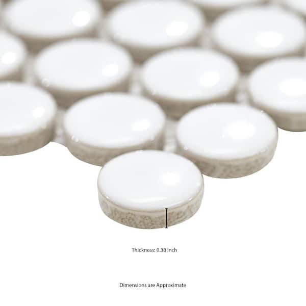 MSI Bianco Penny Round 12 in. x 13 in. x 0.24 in. Glossy