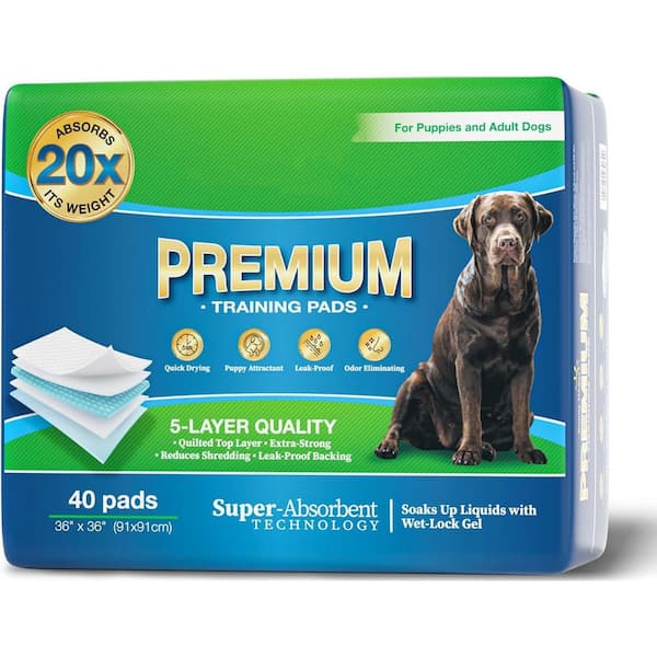Phewnyzo 36 36 Extra Large Disposable Dog Pee Pads, 40