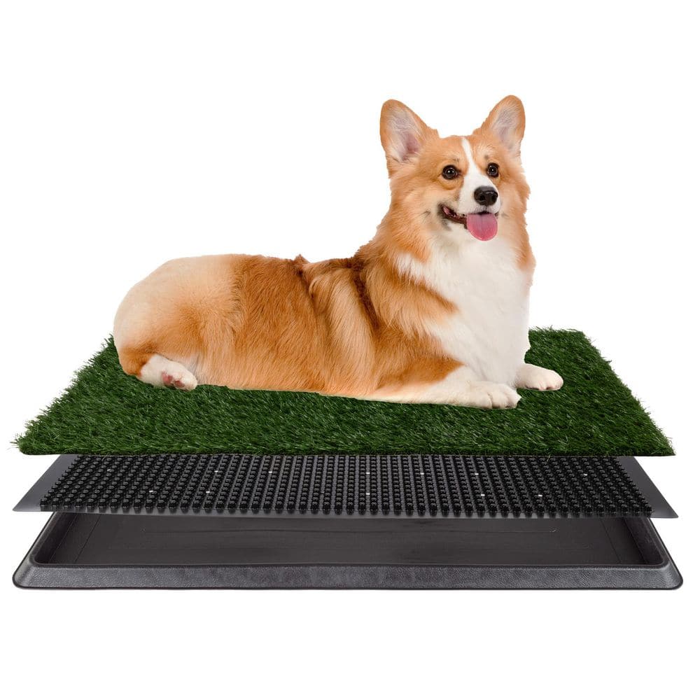 Medium Artificial Grass Puppy Potty Trainer with Tray