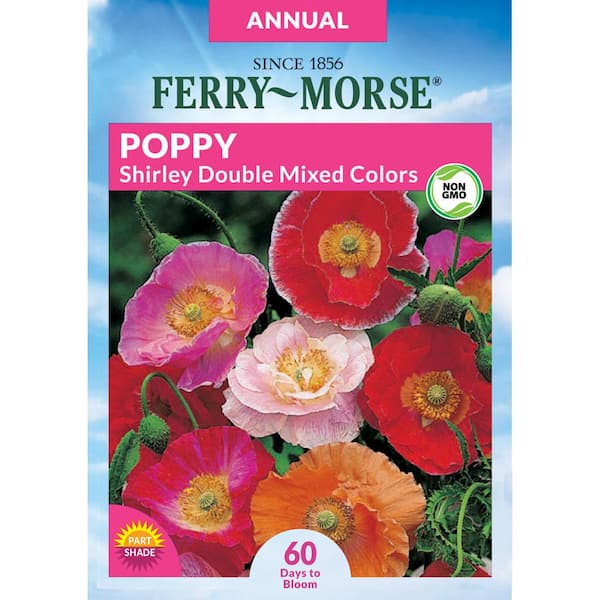 Ferry-Morse Poppy Shirley Double Mixed Colors Flower Seed