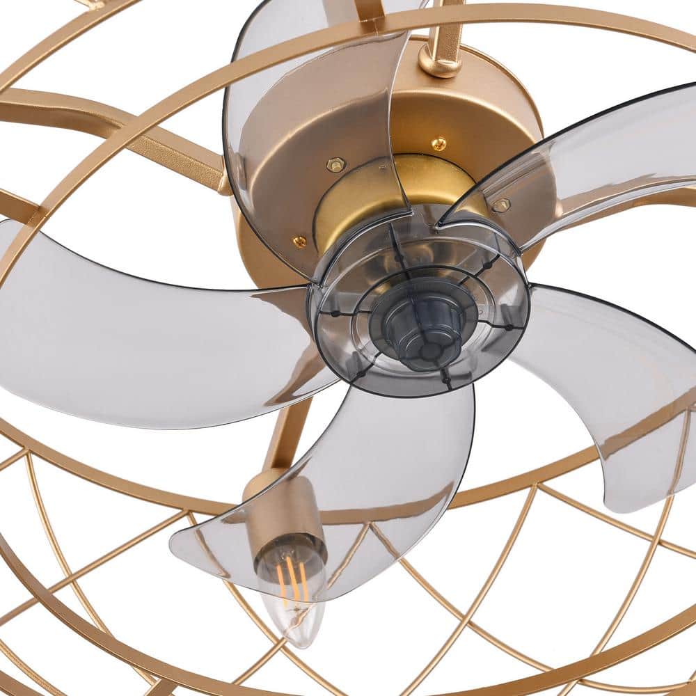 20" Gold Aluminum Caged Ceiling Fan with LED Light and Remote