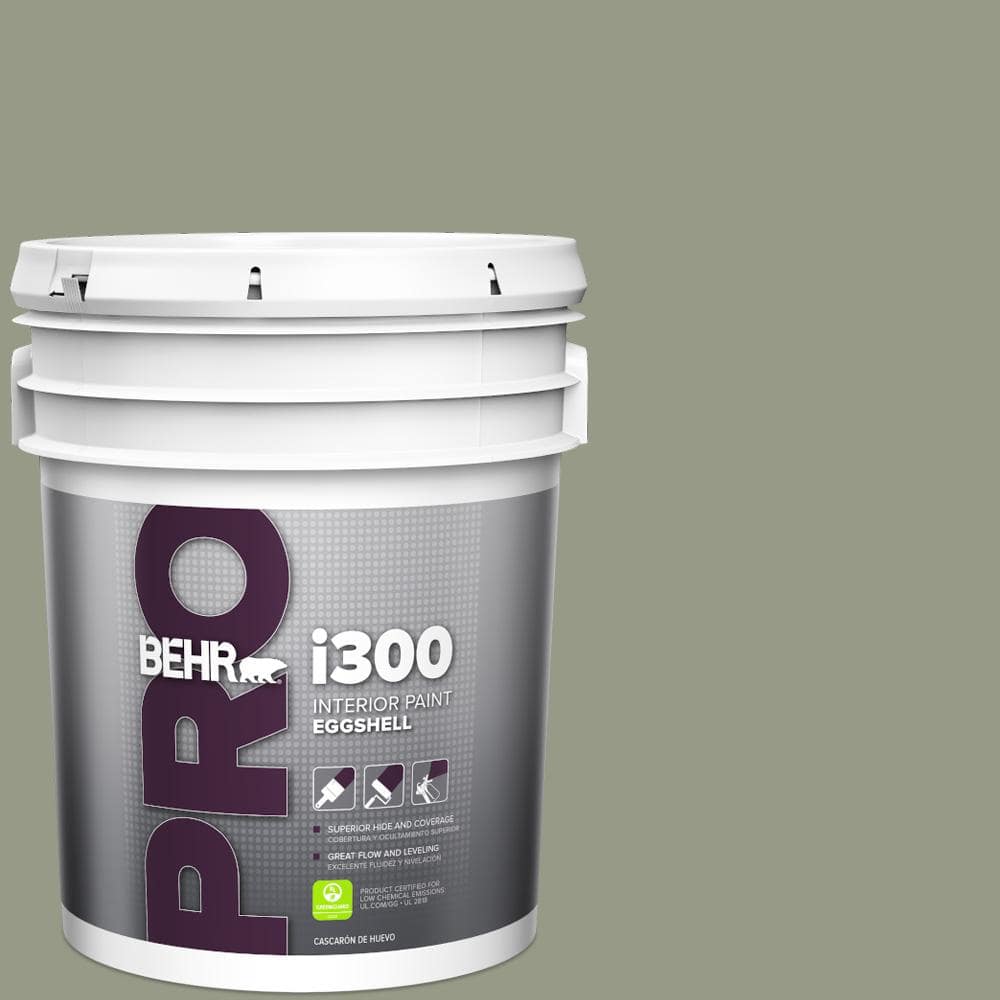 5 gal. #BNC-27 Aged Eucalyptus Eggshell Interior Paint price history on PriceWatchPro