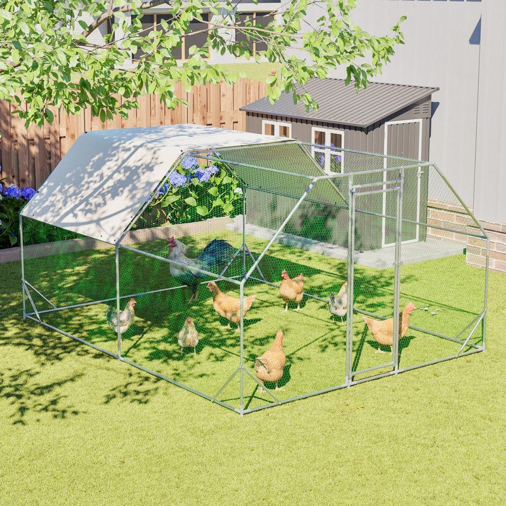 Thanaddo 10 ft. x 13 ft. Large Metal Walk in Chicken Coop