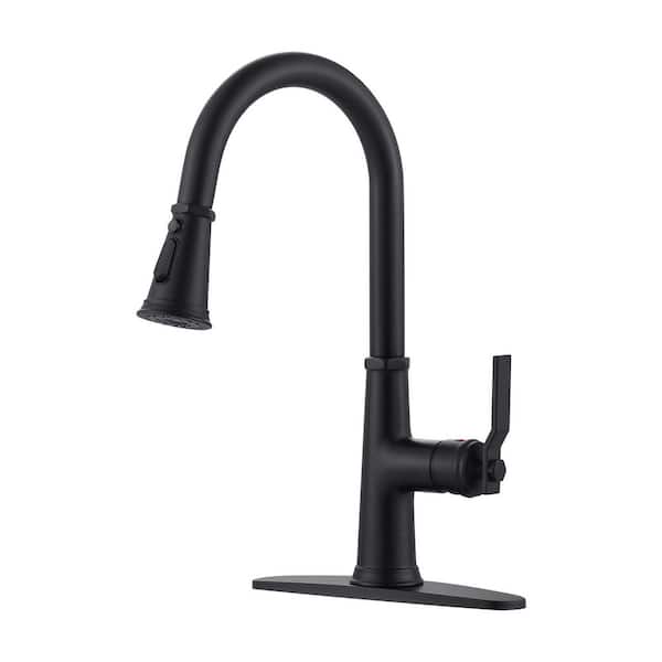 ALEASHA 16.7 in. H Single Handle Pull Down Sprayer Kitchen Faucet in Matte Black