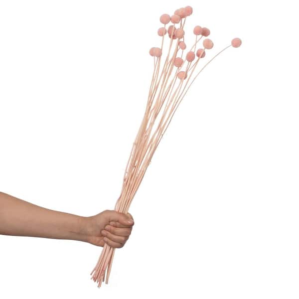 Uniquewise 20-Pcs Natural Dried Billy Ball Flowers Vase Fillers Craspedia Bouquet Real Buttons, Sakura Pink