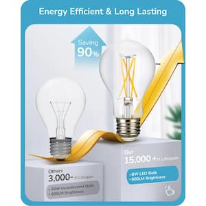 60-Watt Equivalent A19 Dimmable E26 Base Vintage Edison LED Light Bulb 4000K Cool White (6-Pack)