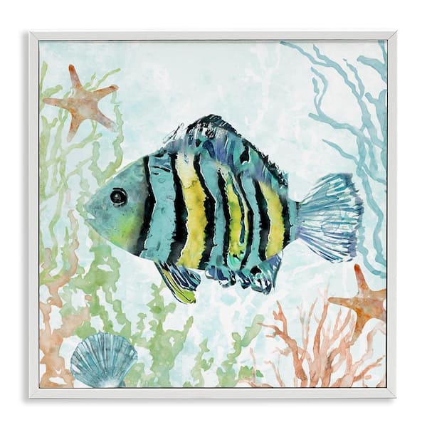 Stupell Industries Striped Fish Underwater by Carol Robinson White Framed Animal Giclee Art Print 12 in. x 12 in.
