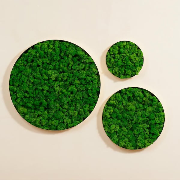 Unbranded 1 Pack Round Framed Moss Metal Gold and Green Wall Decor Wall Greenery Art Print Natural Moss 18 in. x 18 in.