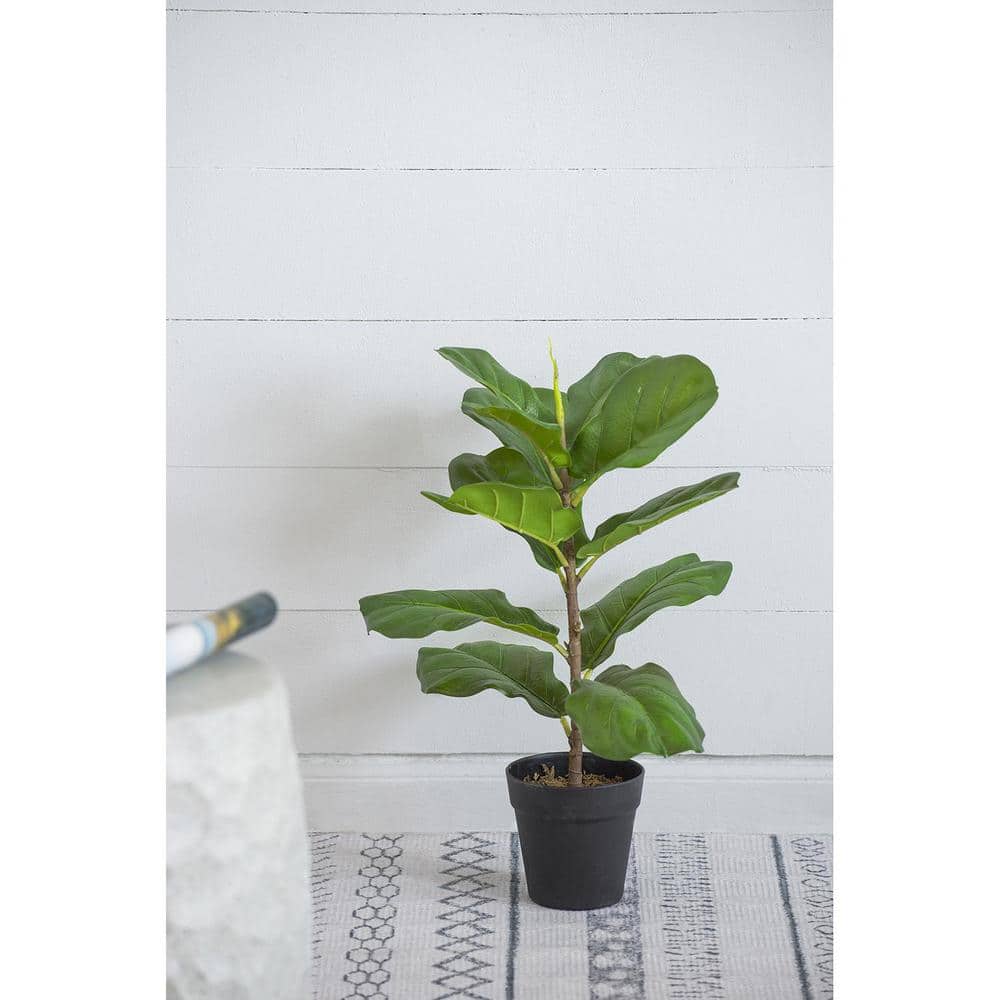 Tall Artificial Fiddle-Leaf Fig Tree in Woven Basket Set