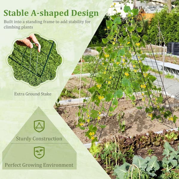 50.5 in. x 34 in. H Steel Foldable A-Frame Garden Plant Supports Trellis