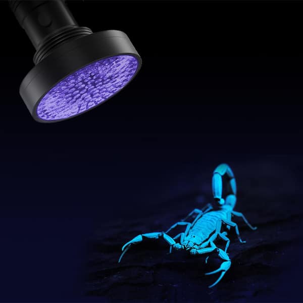 Handheld Ultraviolet Blacklight UV Flashlight with Carrying Strap 162213KJG  - The Home Depot