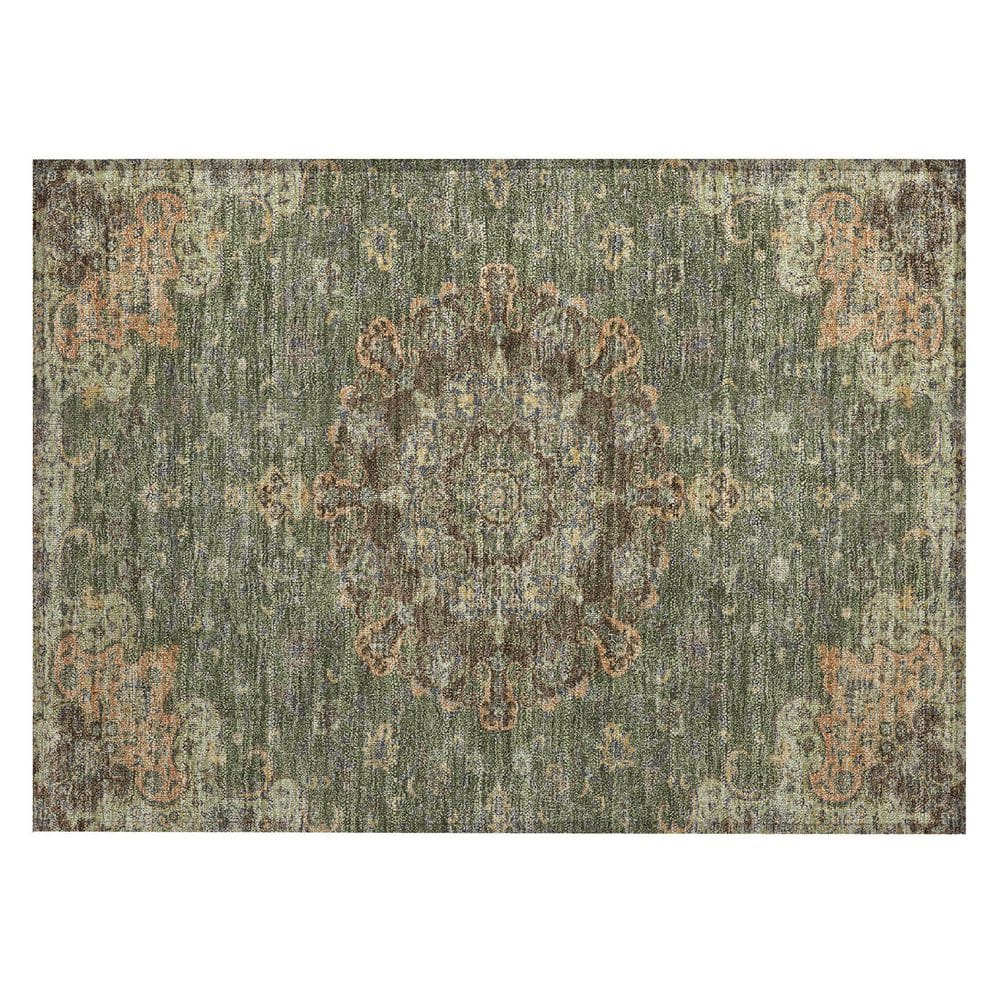 Chantille Machine Washable Indoor/Outdoor Abstract ACN2489 Olive 2 ft. x 3 ft. Accent Rug price history on PriceWatchPro