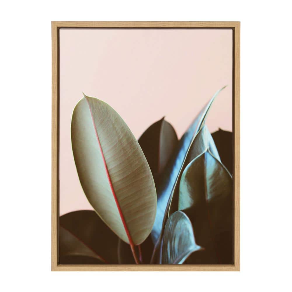 Natural Framed Botanical Canvas Print, 18"x24"