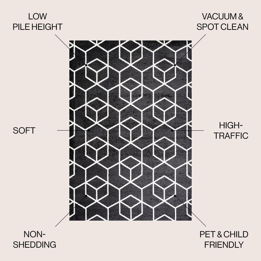Black and White Geometric Mid-Century Modern Area Rug 4 x 6