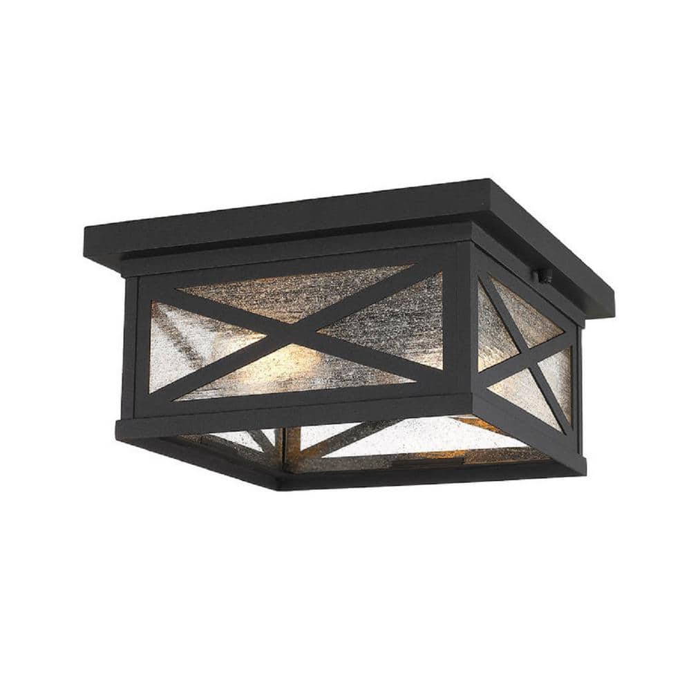 Matte Black Aluminum 2-Light Outdoor Flush Mount with Seedy Glass
