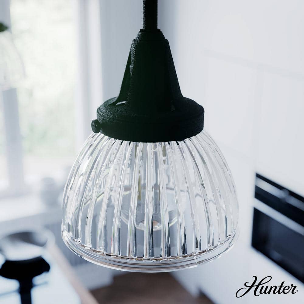 Hunter Cypress Grove Natural Black Iron Mini Pendant Light with Clear Glass Dome Shade