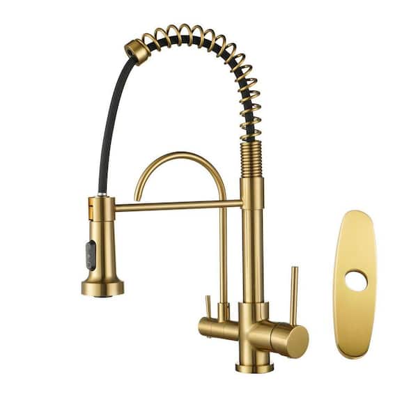 17.5 in. Double Handle Pull Down Spray Kitchen Faucet with Drinking Water Filter and 360° Spout in Brushed Gold