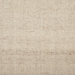 6 in. x 6 in. Texture Carpet Sample - Surface - Color Plains