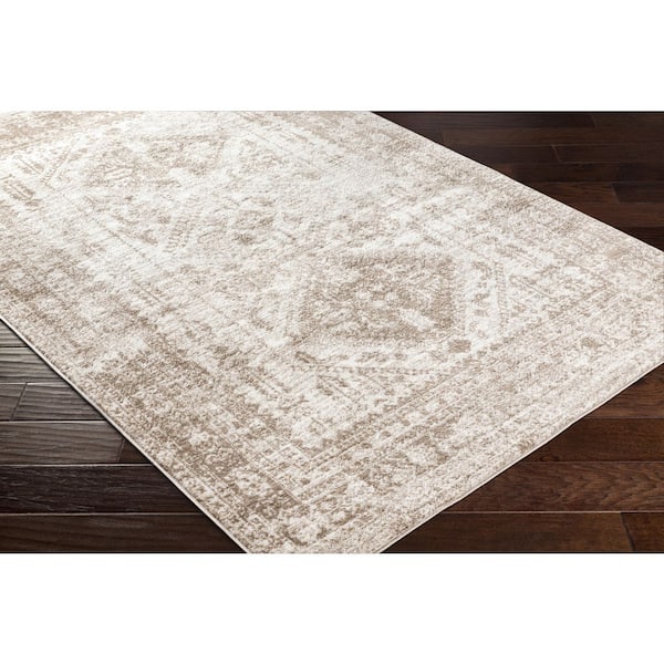 Lillian SkyBlue/Light brown 8 ft. x 10 ft. Indoor Machine-Washable Area Rug
